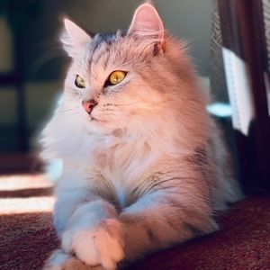 Meet your Posher, Kristina